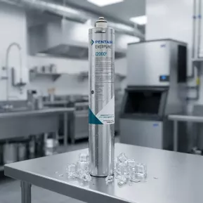 Everpure InsurIce filters
