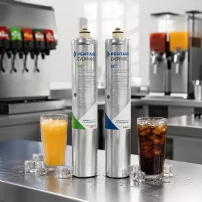 Everpure filters soda, juice and post-mix